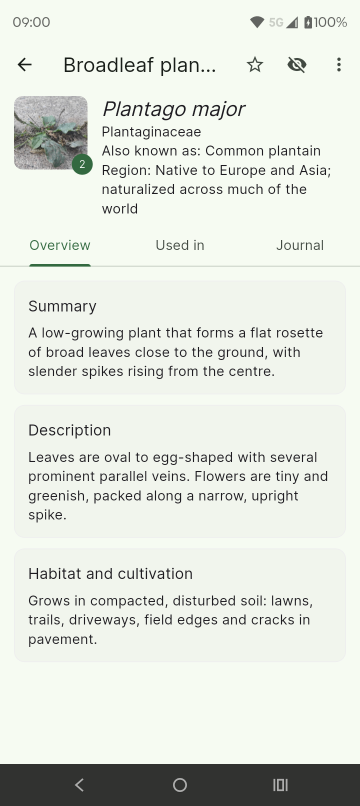 An herb page with a photo and tabs