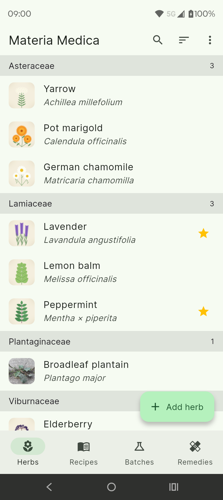 Herbs grouped by plant family